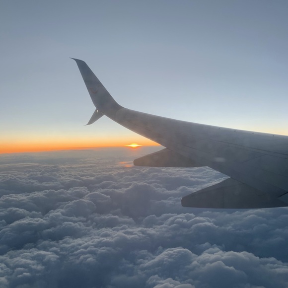 Meet your Posher, Amy - Picture 3 of 6